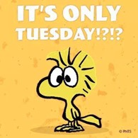 Over Thinking The Days of The Week